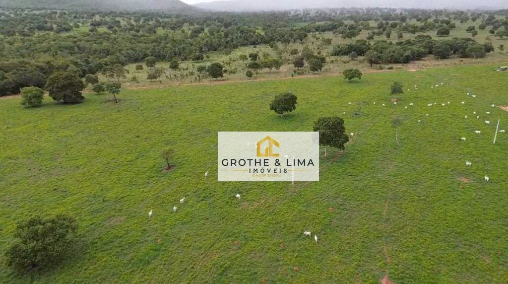 Farm of 6.877 acres in Uirapuru, GO, Brazil