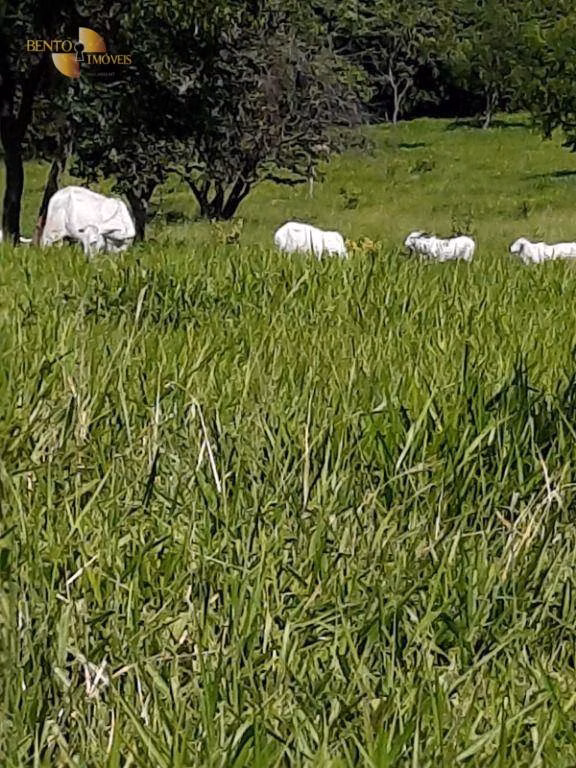Fazenda de 170 ha em São Vicente, SP