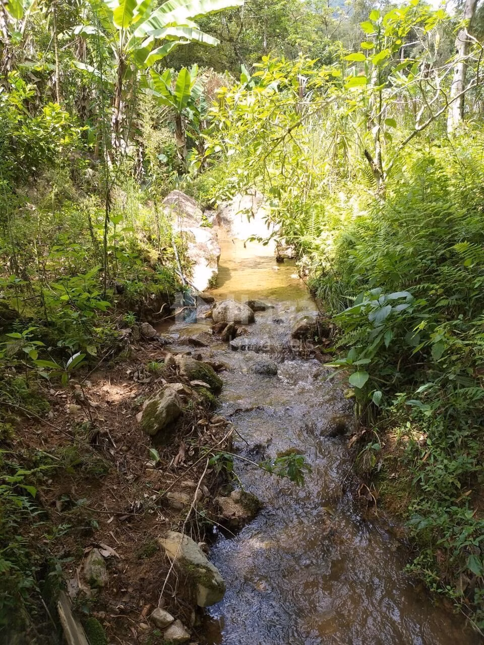 Plot of 64 acres in Angelina, SC, Brazil