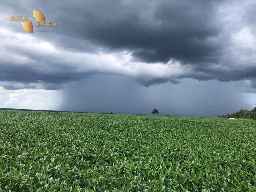 Fazenda de 2.700 ha em Riachão, MA