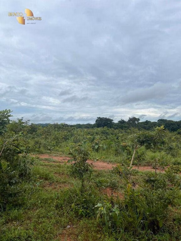 Fazenda de 2.500 ha em Nobres, MT