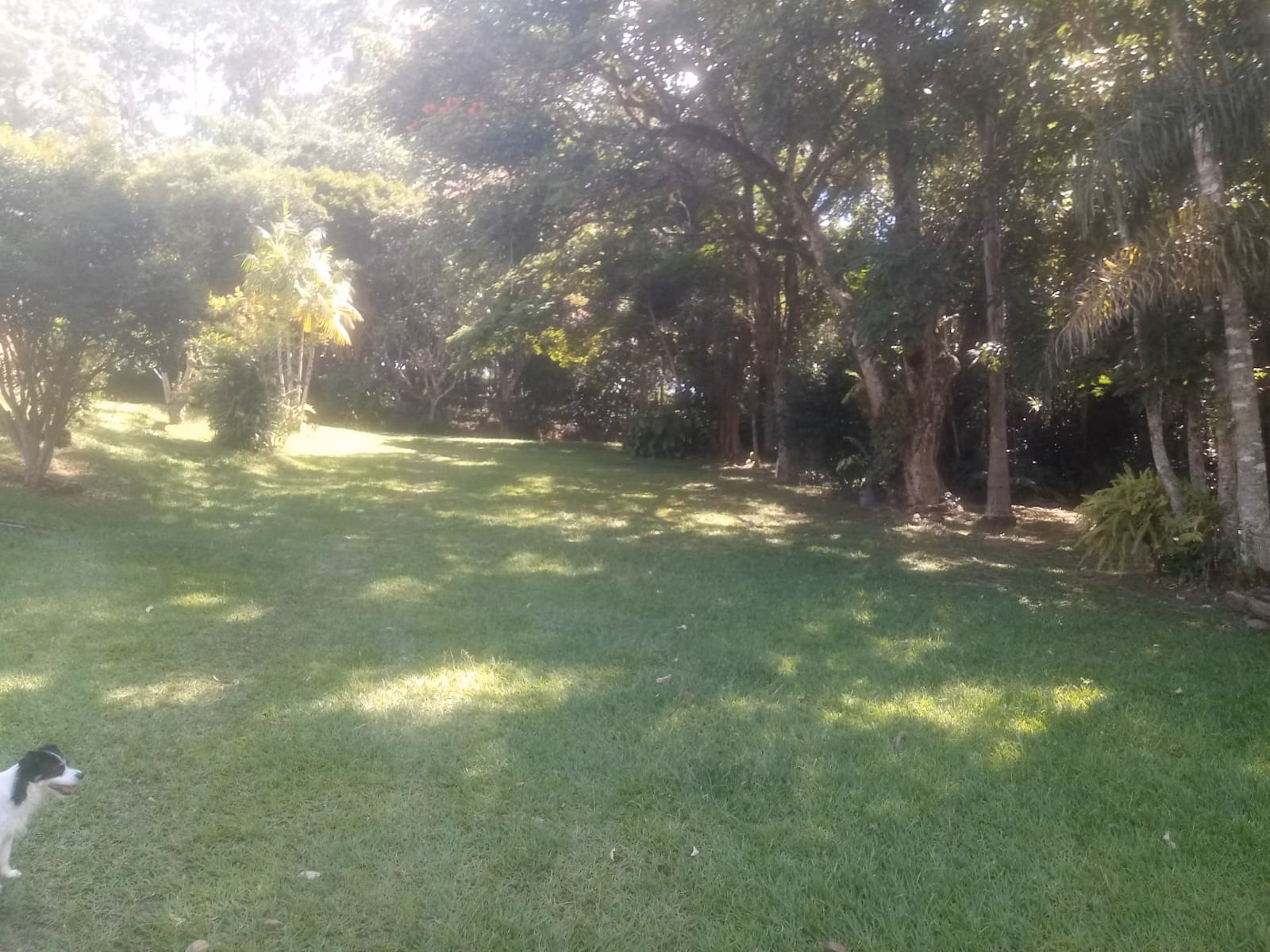 Sítio de 8 ha em São José dos Campos, SP