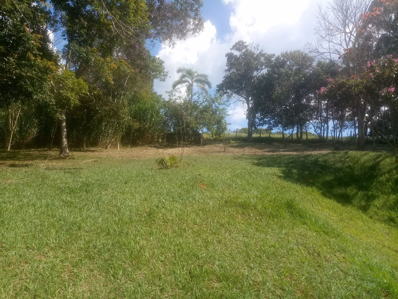 Sítio de 8 ha em São José dos Campos, SP