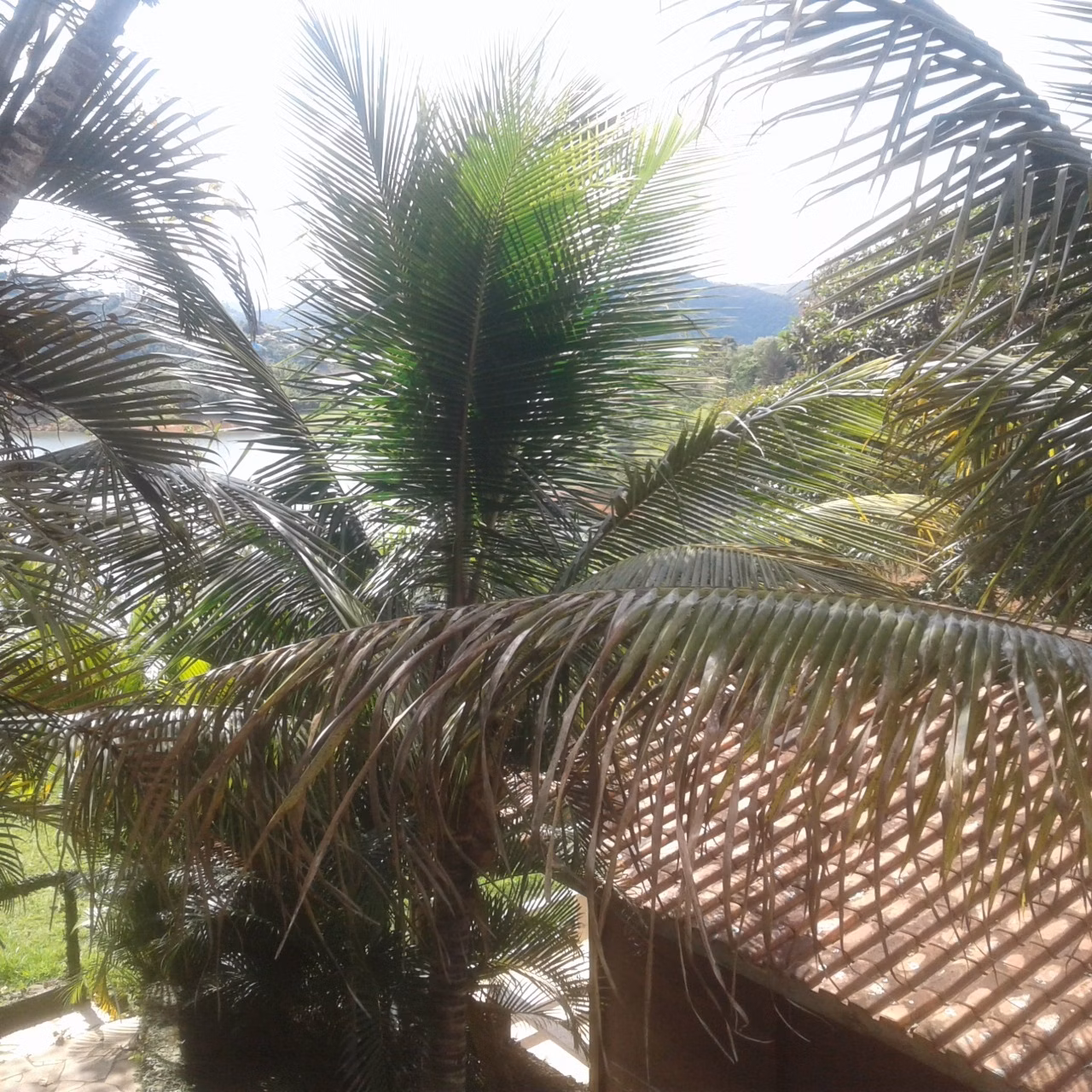 Country home of 2.100 m² in Jacareí, SP, Brazil