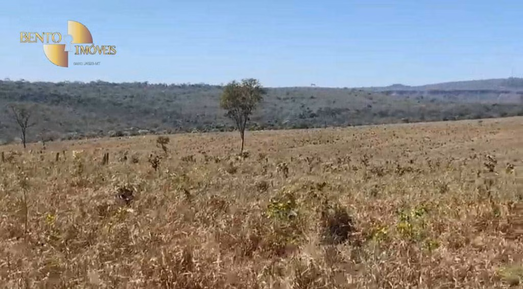 Fazenda de 1.605 ha em Juscimeira, MT