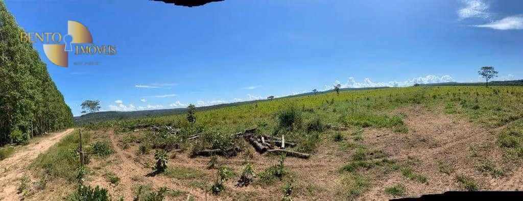 Fazenda de 1.605 ha em Juscimeira, MT