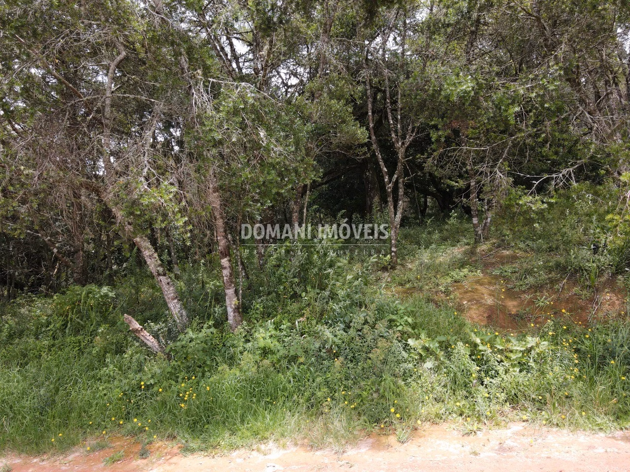 Terreno de 1.990 m² em Campos do Jordão, SP