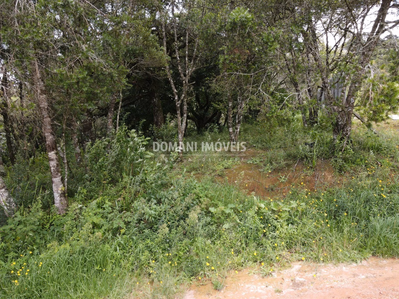 Terreno de 1.990 m² em Campos do Jordão, SP