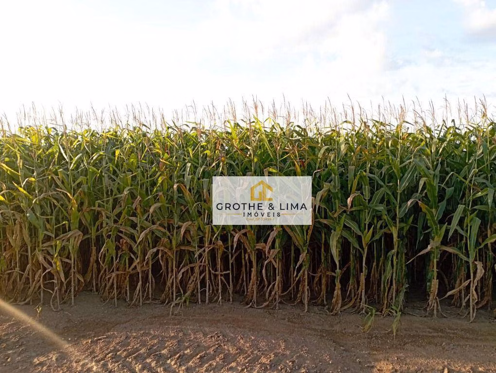 Farm of 2.906 acres in Araguacema, TO, Brazil