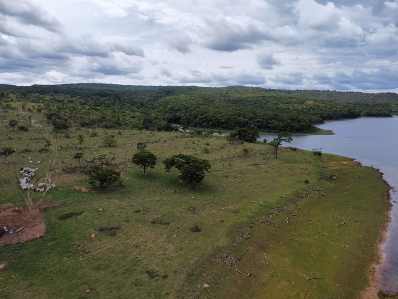 Fazenda à venda de 45 ha em Luziânia, GO