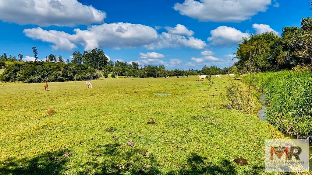 Small farm of 60 acres in Pouso Alegre, MG, Brazil