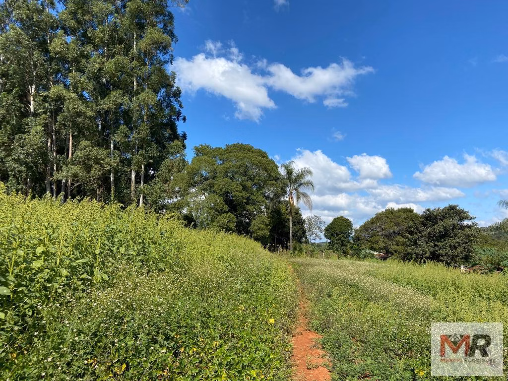 Small farm of 60 acres in Pouso Alegre, MG, Brazil