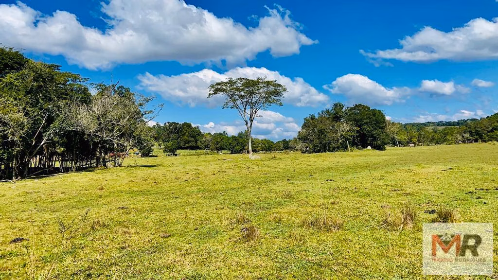 Small farm of 60 acres in Pouso Alegre, MG, Brazil