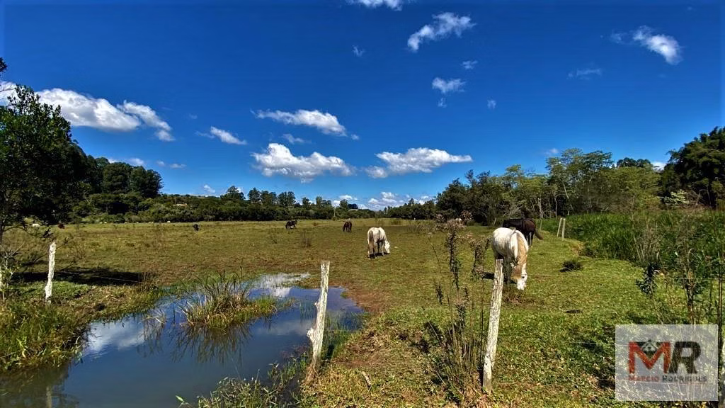 Small farm of 60 acres in Pouso Alegre, MG, Brazil
