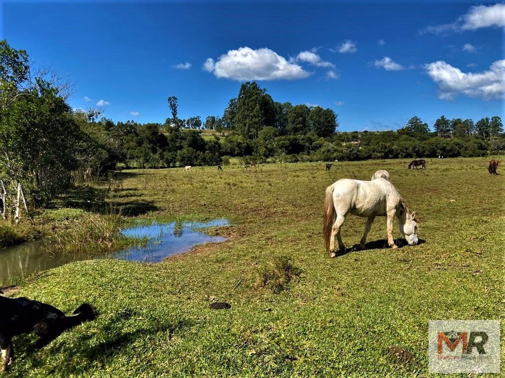 Sítio de 24 ha em Pouso Alegre, MG