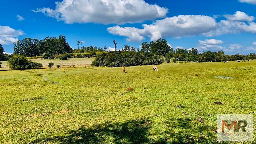 Small farm of 60 acres in Pouso Alegre, MG, Brazil