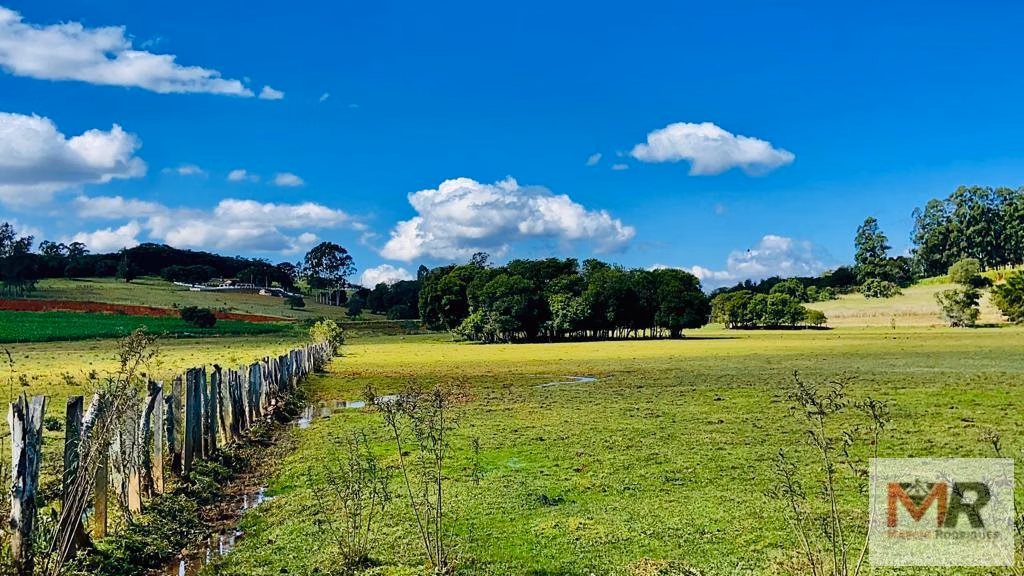 Small farm of 60 acres in Pouso Alegre, MG, Brazil
