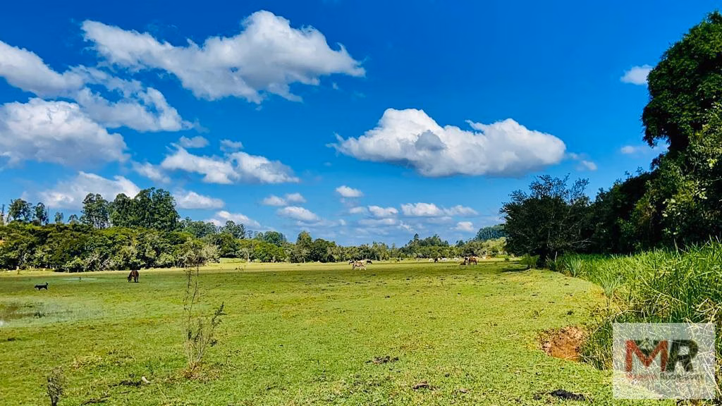 Small farm of 60 acres in Pouso Alegre, MG, Brazil