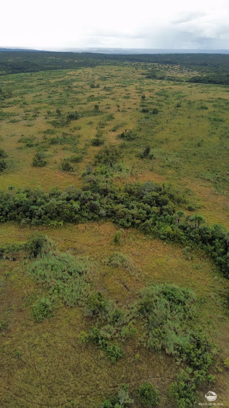 Fazenda de 1.100 ha em Planalto da Serra, MT