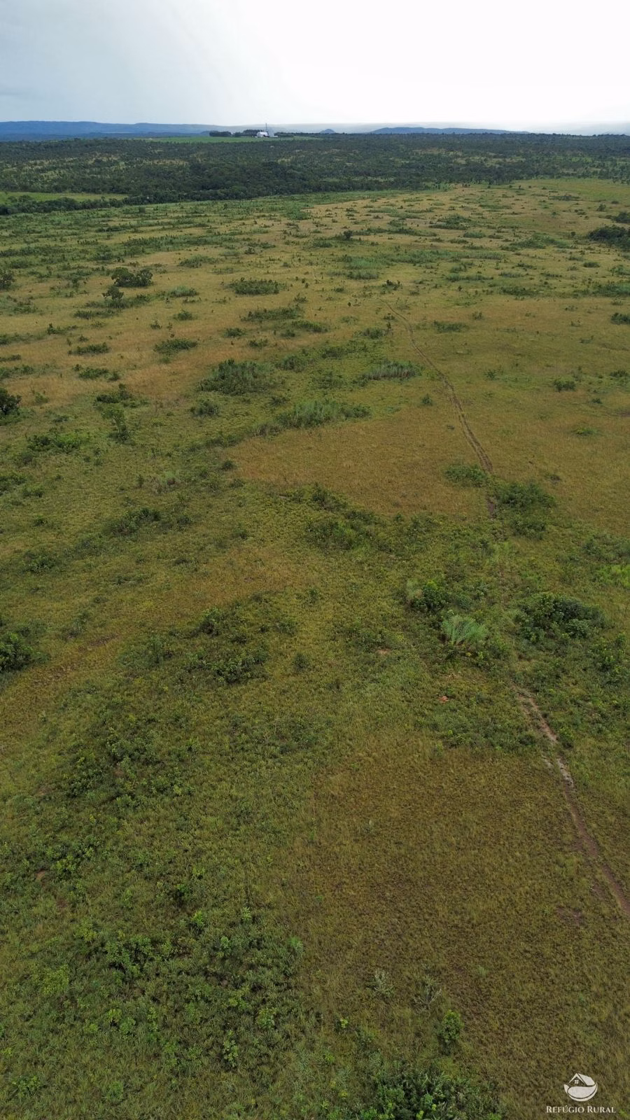 Fazenda de 1.100 ha em Planalto da Serra, MT