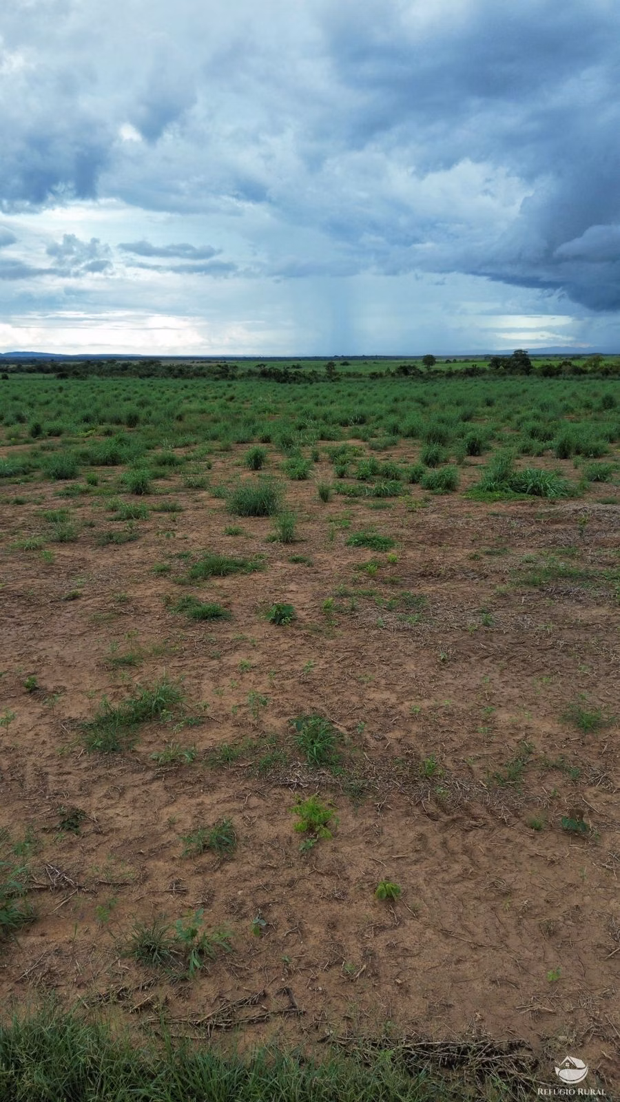 Fazenda de 1.100 ha em Planalto da Serra, MT