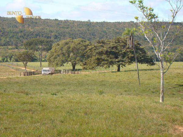 Fazenda de 3.117 ha em Jangada, MT