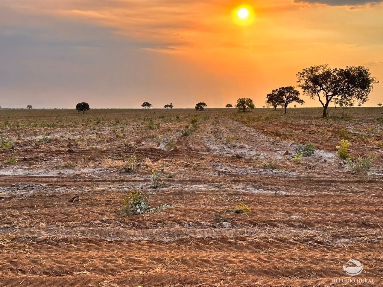 Fazenda de 11.000 ha em São Desidério, BA
