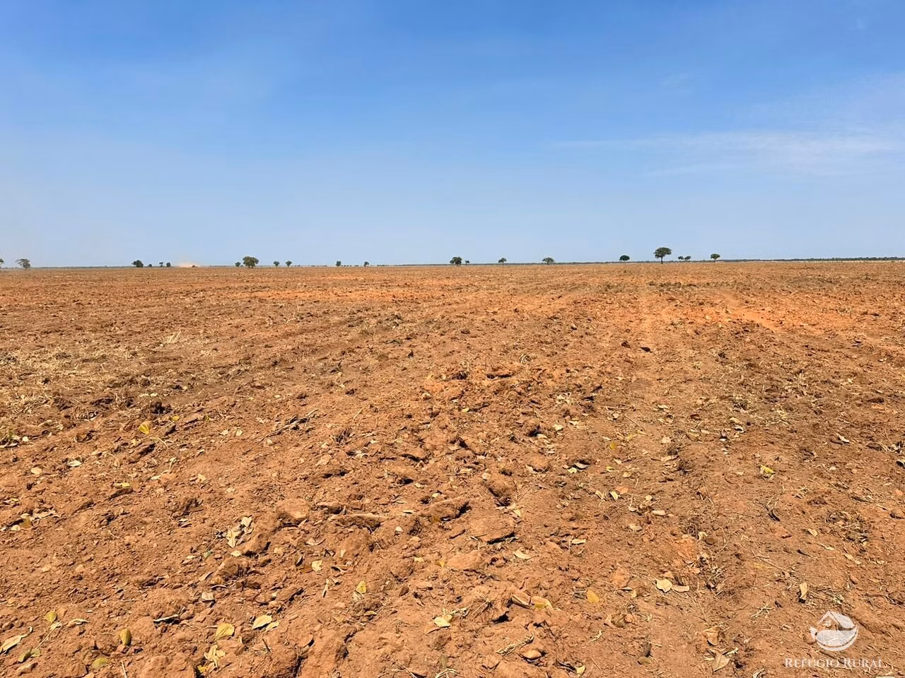 Fazenda de 11.000 ha em São Desidério, BA