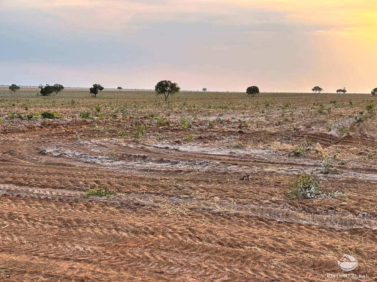 Fazenda de 11.000 ha em São Desidério, BA