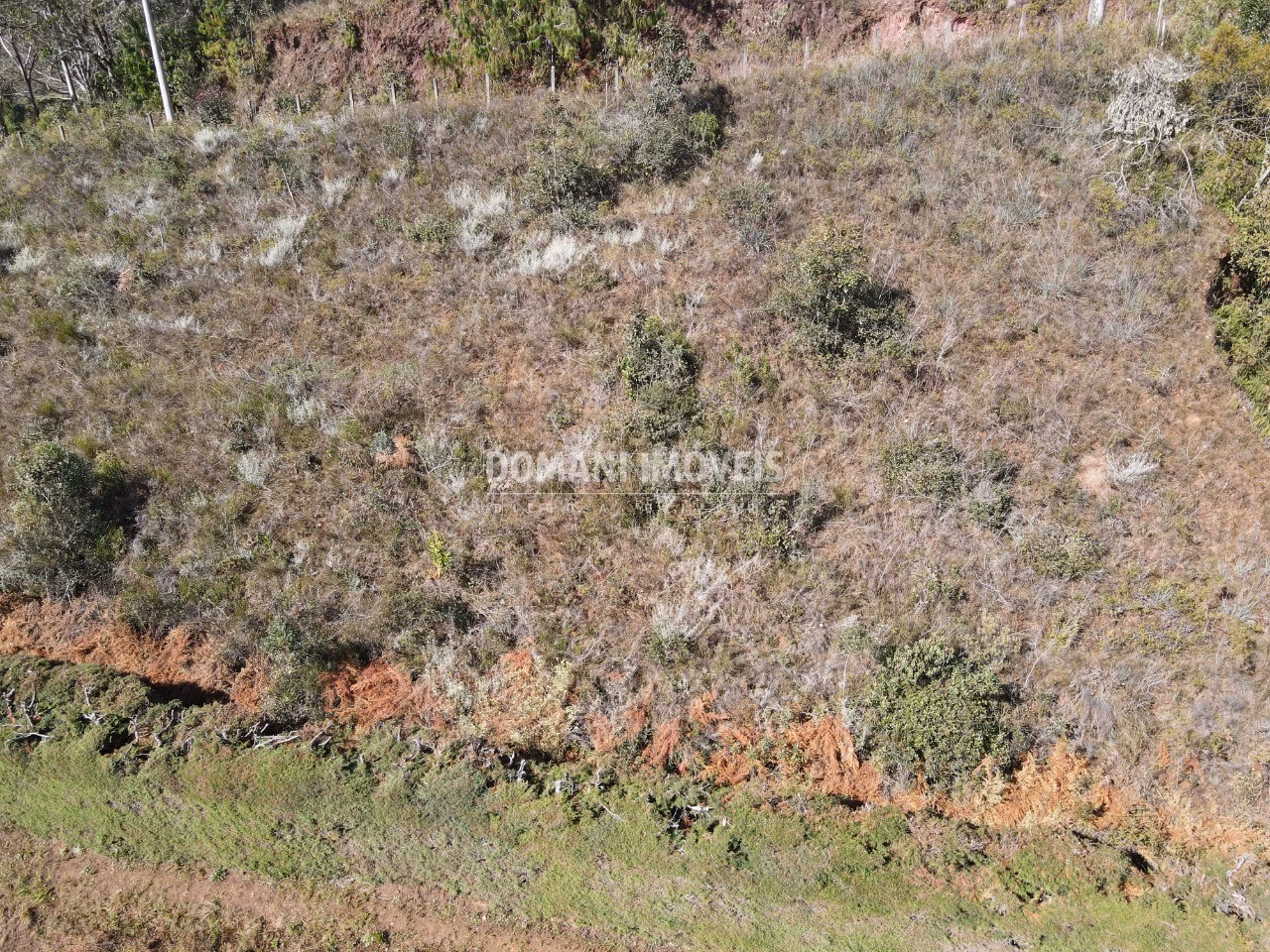 Plot of 1,300 m² in Campos do Jordão, SP, Brazil