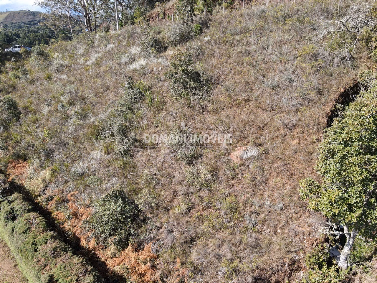 Plot of 1,300 m² in Campos do Jordão, SP, Brazil