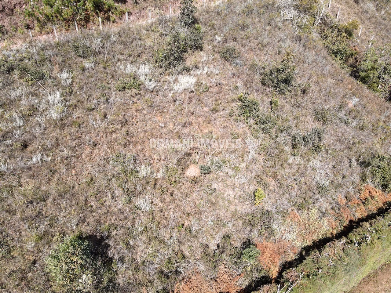 Plot of 1,300 m² in Campos do Jordão, SP, Brazil