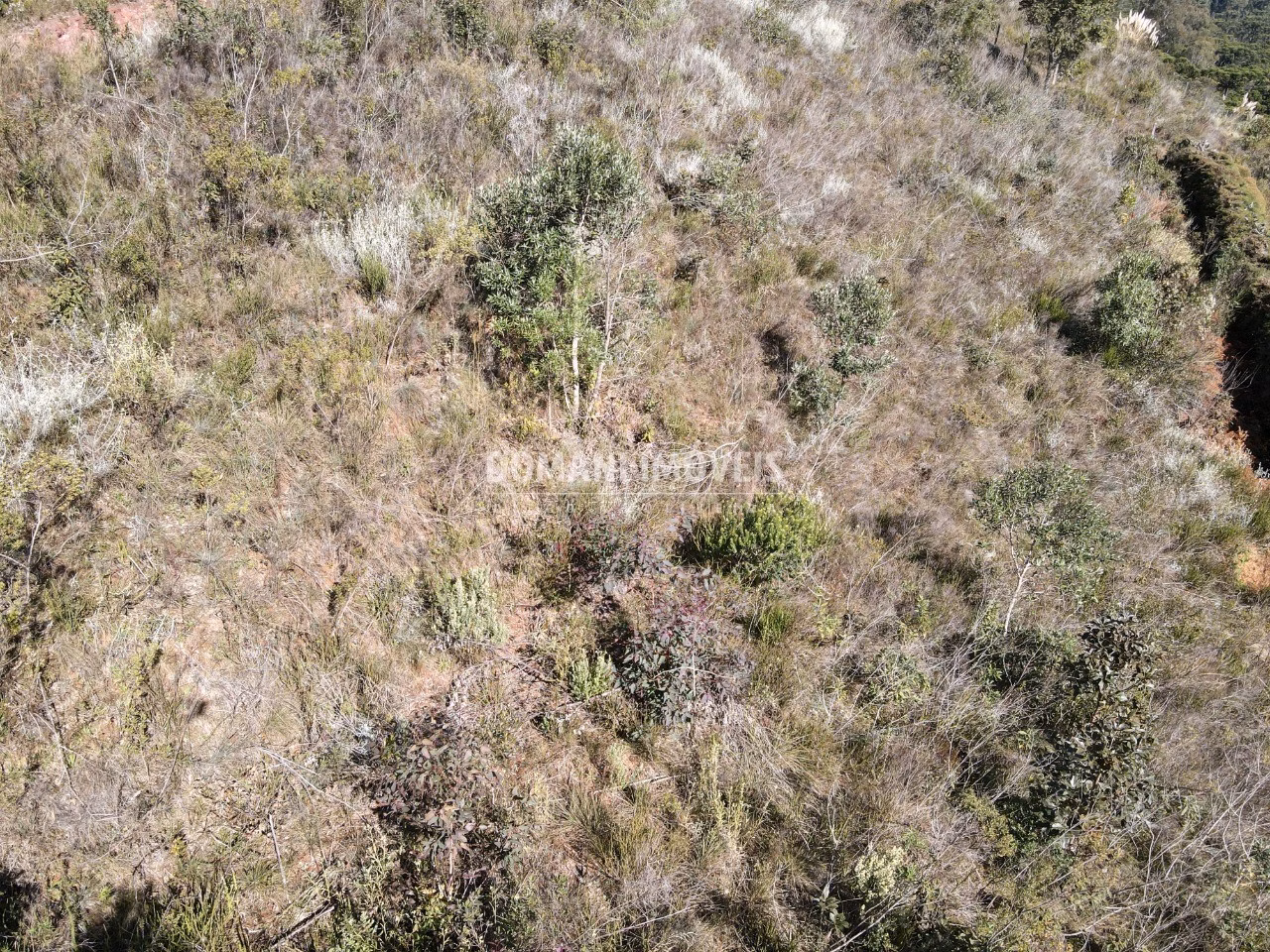 Plot of 1,300 m² in Campos do Jordão, SP, Brazil