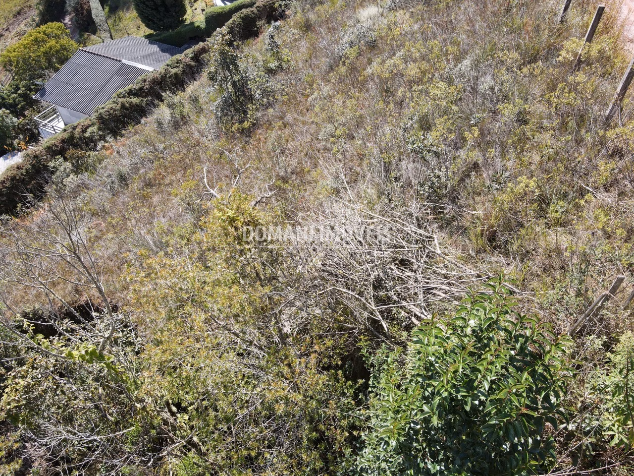 Plot of 1,300 m² in Campos do Jordão, SP, Brazil