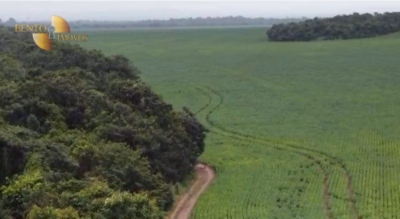 Fazenda de 4.525 ha em Diamantino, MT