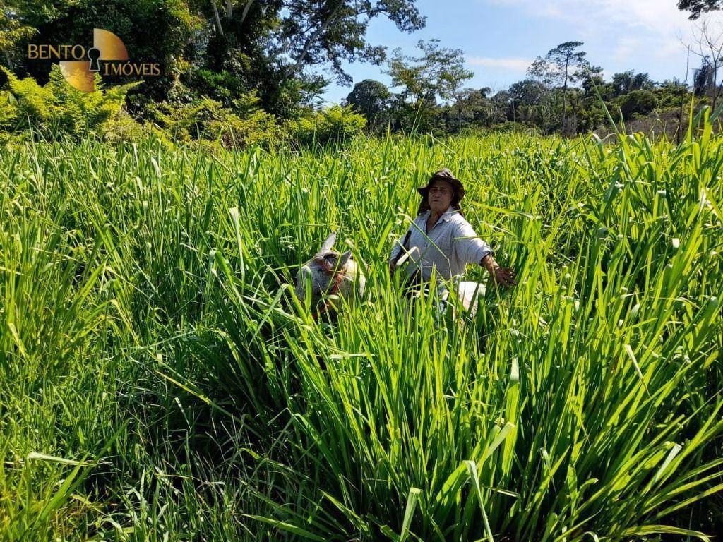 Fazenda de 3.800 ha em Alta Floresta, MT