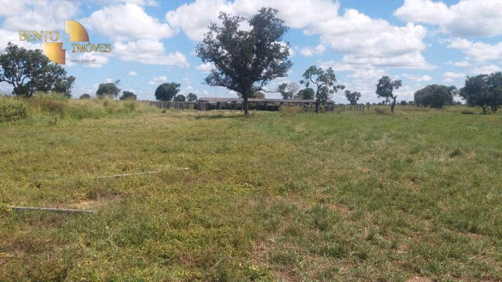 Fazenda de 15.400 ha em Ribeirão Cascalheira, MT