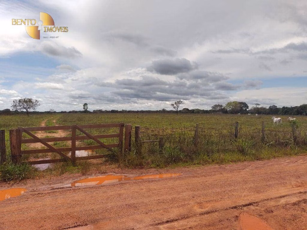 Fazenda de 15.400 ha em Ribeirão Cascalheira, MT