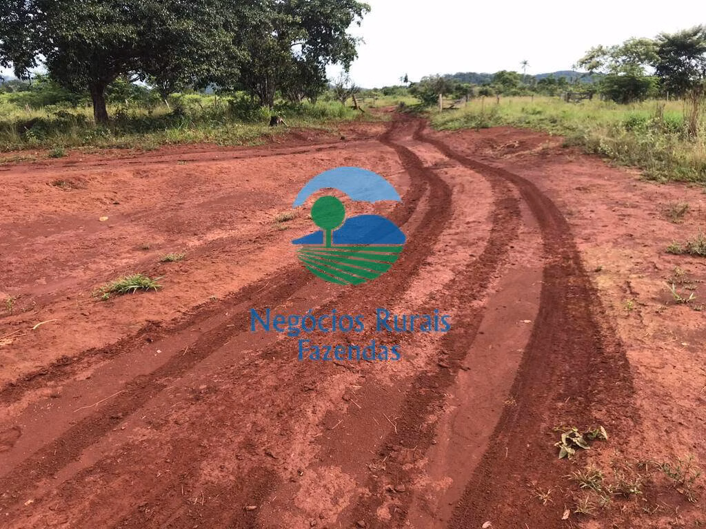 Fazenda de 4.598 ha em Cumaru do Norte, PA