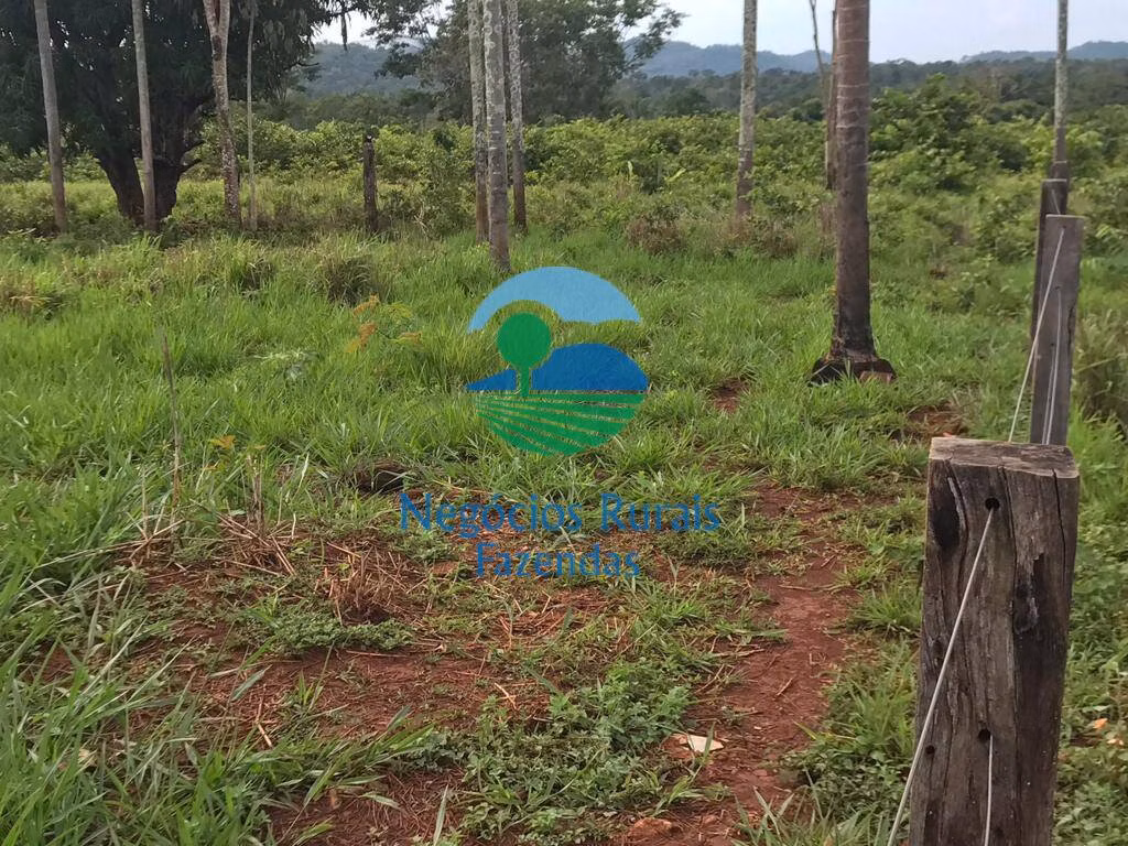 Fazenda de 4.598 ha em Cumaru do Norte, PA