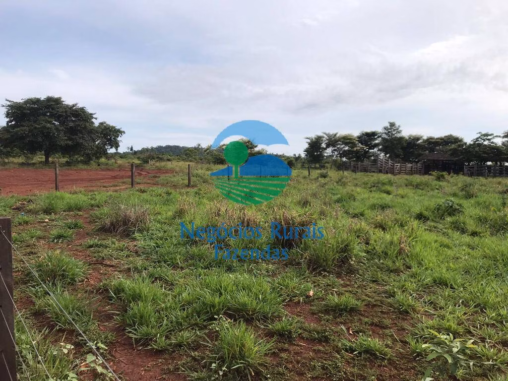 Fazenda de 4.598 ha em Cumaru do Norte, PA