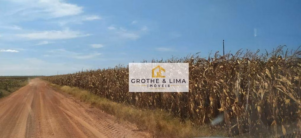 Fazenda de 11.221 ha em Davinópolis, MA