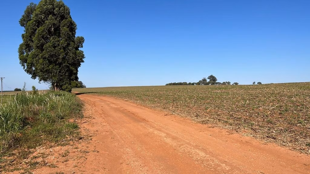 Fazenda de 230 ha em Itapeva, SP