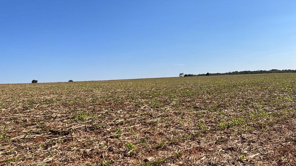 Fazenda de 230 ha em Itapeva, SP