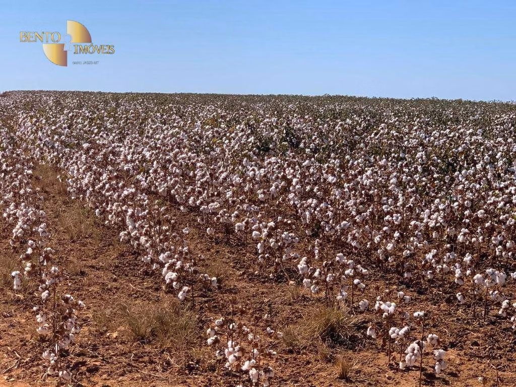 Fazenda de 15.630 ha em Ipiranga do Norte, MT