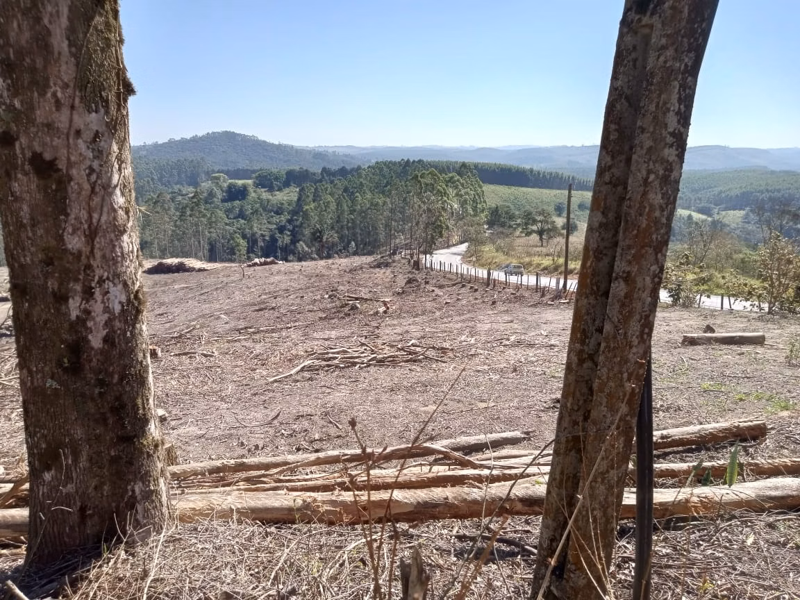 Small farm of 84 acres in Piedade, SP, Brazil