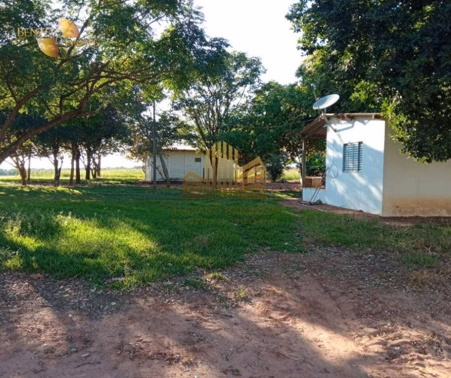 Fazenda de 775 ha em Primavera do Leste, MT