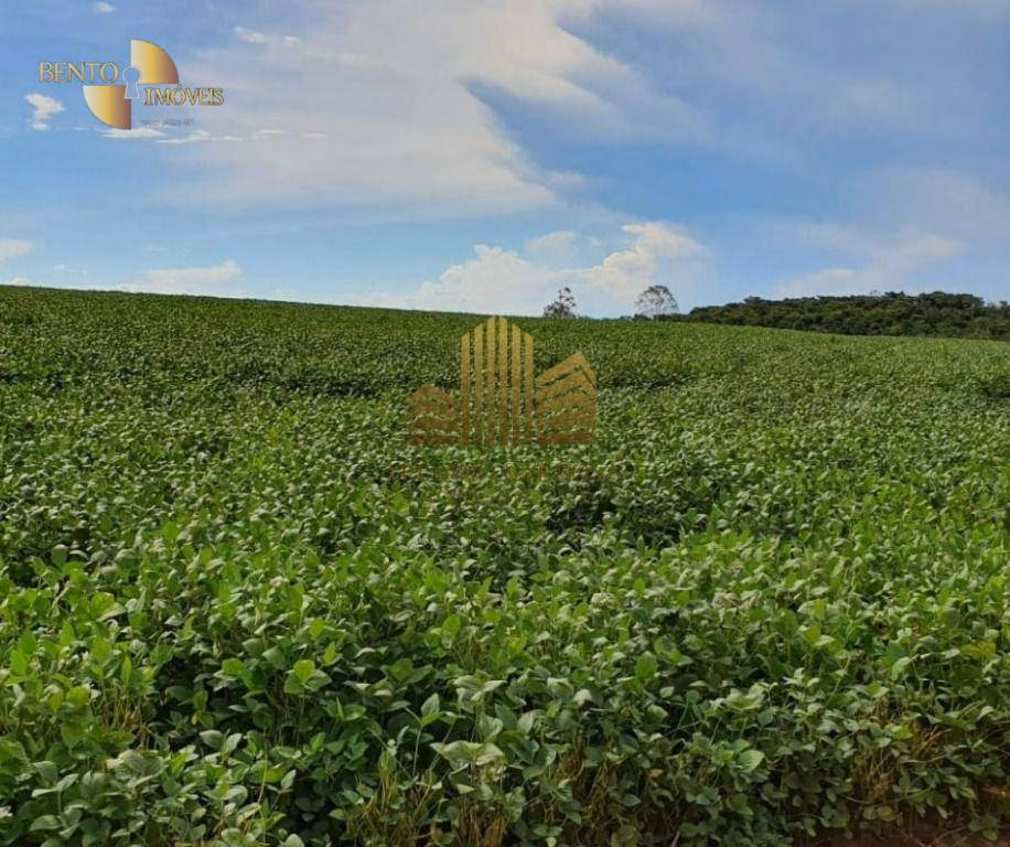 Fazenda de 775 ha em Primavera do Leste, MT