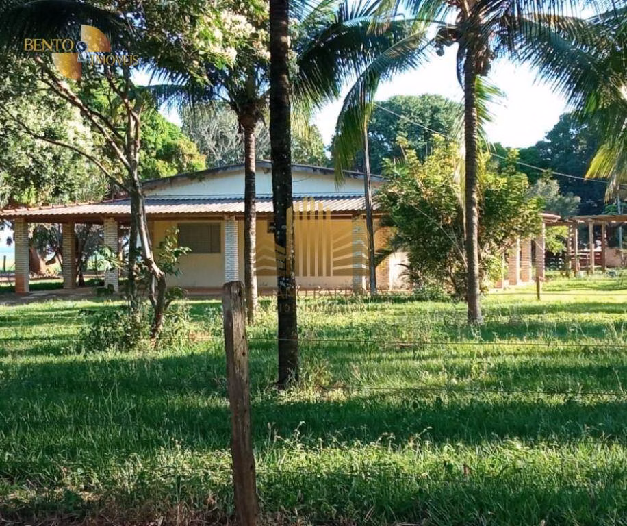 Fazenda de 775 ha em Primavera do Leste, MT