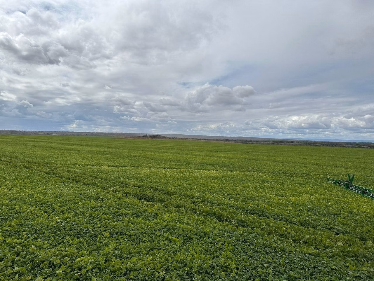 Fazenda de 780 ha em Paracatu, MG